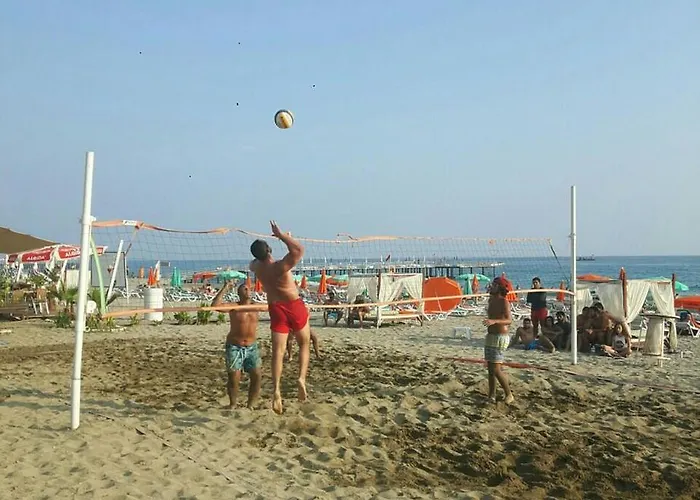 Moonlight אלאניה